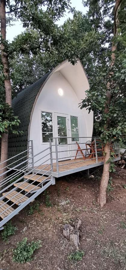Bungalovi Api-Centar Gornji Milanovac Ngoại thất bức ảnh